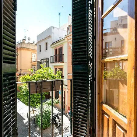 Unique House - Private Spa&pool -stayinseville Sevilla
